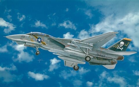 F-14A TomCat 1/48 italeri modellismo statico