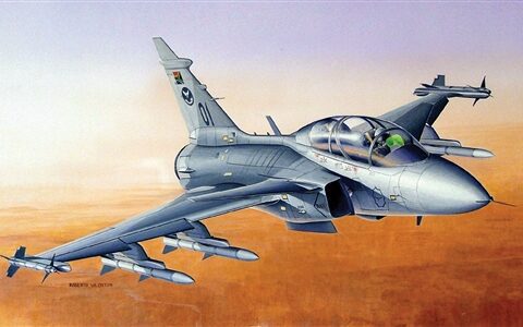 JAS 39 GRIPEN TWIN SEATER 1/48 italeri modellismo statico