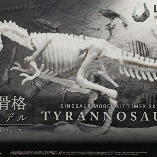 Dinosaur Model Kit Limex Skeleton Tyrannosaurus  BANDAI 78387