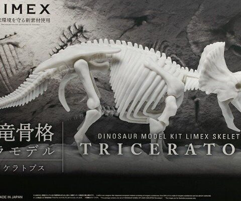 Dinosaur Model Kit Limex Skeleton Triceratops  BANDAI 78388