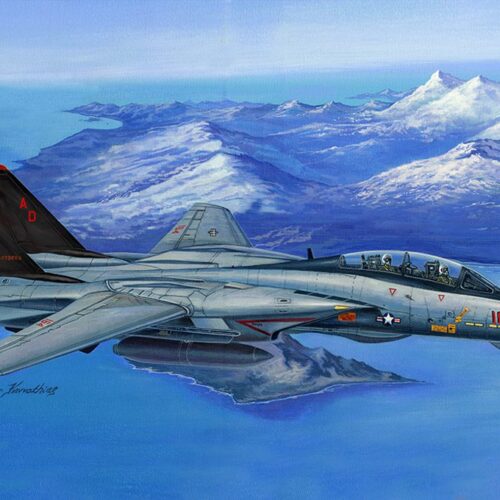 F-14D Super Tomcat scala 1:48 HOBBY BOSS 80368 + COLLA OMAGGIO