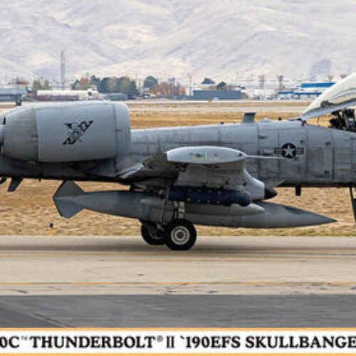 02451 – Faichild A-10 C Thunderbolt II – “190EFS Skullbangers” scala 1:72 Hasegawa + COLLA OMAGGIO